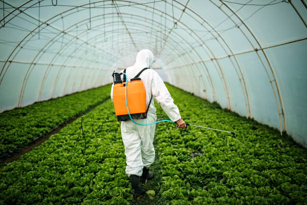 Best Local Pest Control Services  in Boonville, MO