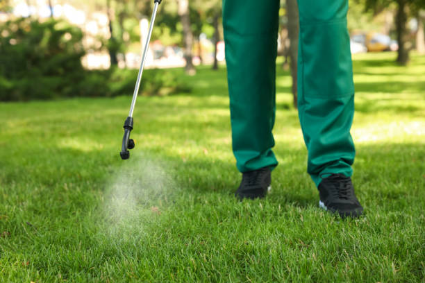 Best Pest Control Near Me  in Boonville, MO