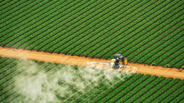 Reliable Boonville, MO Pest Control Solutions
