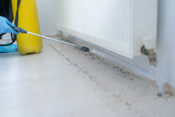 Best Pest Control Treatment  in Boonville, MO